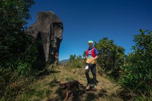 BIB: 
                            <button type="button" onclick="openModal(26576858)" class="btn btn-primary btn-sm float-right btn-popup" data-toggle="modal" data-target=".modal-high-quality">
                        <i class="fas fa-shopping-cart"></i> Add to Cart
                    </button>
                                            <button type="button" onclick="isThisMe(26576858, true)" class="btn btn-success btn-sm float-right btn-popup btn-isme hidden" data-toggle="tooltip" data-placement="bottom" title="นี่คือรูปของคุณใช่ไหม คลิกที่นี่เพื่อเอาเข้าอัลบั้ม">
                        <i class="fas fa-plus"></i> Add to album
                    </button>
                    <button type="button" onclick="isThisMe(26576858, false)" class="btn btn-warning btn-sm float-right btn-popup btn-isnotme hidden">
                        <i class="fas fa-ban"></i> Remove from album
                    </button>