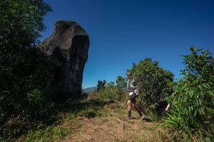 BIB: 
                            <button type="button" onclick="openModal(26584129)" class="btn btn-primary btn-sm float-right btn-popup" data-toggle="modal" data-target=".modal-high-quality">
                        <i class="fas fa-shopping-cart"></i> Add to Cart
                    </button>
                                            <button type="button" onclick="isThisMe(26584129, true)" class="btn btn-success btn-sm float-right btn-popup btn-isme hidden" data-toggle="tooltip" data-placement="bottom" title="นี่คือรูปของคุณใช่ไหม คลิกที่นี่เพื่อเอาเข้าอัลบั้ม">
                        <i class="fas fa-plus"></i> Add to album
                    </button>
                    <button type="button" onclick="isThisMe(26584129, false)" class="btn btn-warning btn-sm float-right btn-popup btn-isnotme hidden">
                        <i class="fas fa-ban"></i> Remove from album
                    </button>