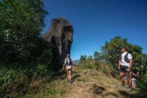 BIB: 
                            <button type="button" onclick="openModal(26578662)" class="btn btn-primary btn-sm float-right btn-popup" data-toggle="modal" data-target=".modal-high-quality">
                        <i class="fas fa-shopping-cart"></i> Add to Cart
                    </button>
                                            <button type="button" onclick="isThisMe(26578662, true)" class="btn btn-success btn-sm float-right btn-popup btn-isme hidden" data-toggle="tooltip" data-placement="bottom" title="นี่คือรูปของคุณใช่ไหม คลิกที่นี่เพื่อเอาเข้าอัลบั้ม">
                        <i class="fas fa-plus"></i> Add to album
                    </button>
                    <button type="button" onclick="isThisMe(26578662, false)" class="btn btn-warning btn-sm float-right btn-popup btn-isnotme hidden">
                        <i class="fas fa-ban"></i> Remove from album
                    </button>