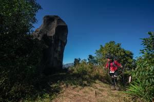 BIB: 
                            <button type="button" onclick="openModal(26586883)" class="btn btn-primary btn-sm float-right btn-popup" data-toggle="modal" data-target=".modal-high-quality">
                        <i class="fas fa-shopping-cart"></i> Add to Cart
                    </button>
                                            <button type="button" onclick="isThisMe(26586883, true)" class="btn btn-success btn-sm float-right btn-popup btn-isme hidden" data-toggle="tooltip" data-placement="bottom" title="นี่คือรูปของคุณใช่ไหม คลิกที่นี่เพื่อเอาเข้าอัลบั้ม">
                        <i class="fas fa-plus"></i> Add to album
                    </button>
                    <button type="button" onclick="isThisMe(26586883, false)" class="btn btn-warning btn-sm float-right btn-popup btn-isnotme hidden">
                        <i class="fas fa-ban"></i> Remove from album
                    </button>