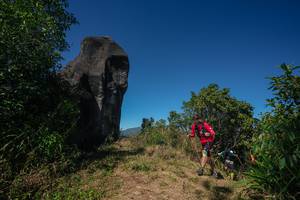 BIB: 
                            <button type="button" onclick="openModal(26579550)" class="btn btn-primary btn-sm float-right btn-popup" data-toggle="modal" data-target=".modal-high-quality">
                        <i class="fas fa-shopping-cart"></i> Add to Cart
                    </button>
                                            <button type="button" onclick="isThisMe(26579550, true)" class="btn btn-success btn-sm float-right btn-popup btn-isme hidden" data-toggle="tooltip" data-placement="bottom" title="นี่คือรูปของคุณใช่ไหม คลิกที่นี่เพื่อเอาเข้าอัลบั้ม">
                        <i class="fas fa-plus"></i> Add to album
                    </button>
                    <button type="button" onclick="isThisMe(26579550, false)" class="btn btn-warning btn-sm float-right btn-popup btn-isnotme hidden">
                        <i class="fas fa-ban"></i> Remove from album
                    </button>