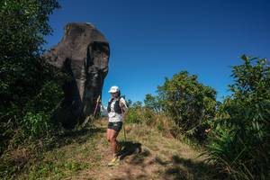 BIB: 
                            <button type="button" onclick="openModal(26578287)" class="btn btn-primary btn-sm float-right btn-popup" data-toggle="modal" data-target=".modal-high-quality">
                        <i class="fas fa-shopping-cart"></i> Add to Cart
                    </button>
                                            <button type="button" onclick="isThisMe(26578287, true)" class="btn btn-success btn-sm float-right btn-popup btn-isme hidden" data-toggle="tooltip" data-placement="bottom" title="นี่คือรูปของคุณใช่ไหม คลิกที่นี่เพื่อเอาเข้าอัลบั้ม">
                        <i class="fas fa-plus"></i> Add to album
                    </button>
                    <button type="button" onclick="isThisMe(26578287, false)" class="btn btn-warning btn-sm float-right btn-popup btn-isnotme hidden">
                        <i class="fas fa-ban"></i> Remove from album
                    </button>