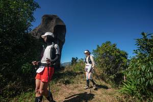 BIB: 
                            <button type="button" onclick="openModal(26584329)" class="btn btn-primary btn-sm float-right btn-popup" data-toggle="modal" data-target=".modal-high-quality">
                        <i class="fas fa-shopping-cart"></i> Add to Cart
                    </button>
                                            <button type="button" onclick="isThisMe(26584329, true)" class="btn btn-success btn-sm float-right btn-popup btn-isme hidden" data-toggle="tooltip" data-placement="bottom" title="นี่คือรูปของคุณใช่ไหม คลิกที่นี่เพื่อเอาเข้าอัลบั้ม">
                        <i class="fas fa-plus"></i> Add to album
                    </button>
                    <button type="button" onclick="isThisMe(26584329, false)" class="btn btn-warning btn-sm float-right btn-popup btn-isnotme hidden">
                        <i class="fas fa-ban"></i> Remove from album
                    </button>