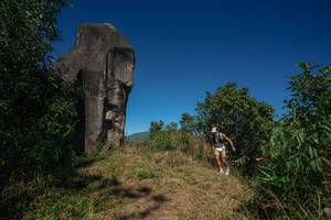 BIB: 
                            <button type="button" onclick="openModal(26574047)" class="btn btn-primary btn-sm float-right btn-popup" data-toggle="modal" data-target=".modal-high-quality">
                        <i class="fas fa-shopping-cart"></i> Add to Cart
                    </button>
                                            <button type="button" onclick="isThisMe(26574047, true)" class="btn btn-success btn-sm float-right btn-popup btn-isme hidden" data-toggle="tooltip" data-placement="bottom" title="นี่คือรูปของคุณใช่ไหม คลิกที่นี่เพื่อเอาเข้าอัลบั้ม">
                        <i class="fas fa-plus"></i> Add to album
                    </button>
                    <button type="button" onclick="isThisMe(26574047, false)" class="btn btn-warning btn-sm float-right btn-popup btn-isnotme hidden">
                        <i class="fas fa-ban"></i> Remove from album
                    </button>