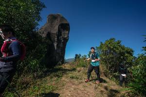 BIB: 
                            <button type="button" onclick="openModal(26579513)" class="btn btn-primary btn-sm float-right btn-popup" data-toggle="modal" data-target=".modal-high-quality">
                        <i class="fas fa-shopping-cart"></i> Add to Cart
                    </button>
                                            <button type="button" onclick="isThisMe(26579513, true)" class="btn btn-success btn-sm float-right btn-popup btn-isme hidden" data-toggle="tooltip" data-placement="bottom" title="นี่คือรูปของคุณใช่ไหม คลิกที่นี่เพื่อเอาเข้าอัลบั้ม">
                        <i class="fas fa-plus"></i> Add to album
                    </button>
                    <button type="button" onclick="isThisMe(26579513, false)" class="btn btn-warning btn-sm float-right btn-popup btn-isnotme hidden">
                        <i class="fas fa-ban"></i> Remove from album
                    </button>