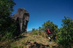 BIB: 
                            <button type="button" onclick="openModal(26577188)" class="btn btn-primary btn-sm float-right btn-popup" data-toggle="modal" data-target=".modal-high-quality">
                        <i class="fas fa-shopping-cart"></i> Add to Cart
                    </button>
                                            <button type="button" onclick="isThisMe(26577188, true)" class="btn btn-success btn-sm float-right btn-popup btn-isme hidden" data-toggle="tooltip" data-placement="bottom" title="นี่คือรูปของคุณใช่ไหม คลิกที่นี่เพื่อเอาเข้าอัลบั้ม">
                        <i class="fas fa-plus"></i> Add to album
                    </button>
                    <button type="button" onclick="isThisMe(26577188, false)" class="btn btn-warning btn-sm float-right btn-popup btn-isnotme hidden">
                        <i class="fas fa-ban"></i> Remove from album
                    </button>