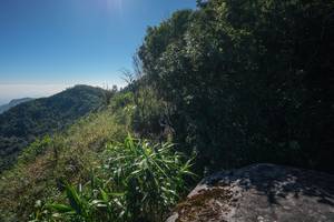 BIB: 
                            <button type="button" onclick="openModal(26572548)" class="btn btn-primary btn-sm float-right btn-popup" data-toggle="modal" data-target=".modal-high-quality">
                        <i class="fas fa-shopping-cart"></i> Add to Cart
                    </button>
                                            <button type="button" onclick="isThisMe(26572548, true)" class="btn btn-success btn-sm float-right btn-popup btn-isme hidden" data-toggle="tooltip" data-placement="bottom" title="นี่คือรูปของคุณใช่ไหม คลิกที่นี่เพื่อเอาเข้าอัลบั้ม">
                        <i class="fas fa-plus"></i> Add to album
                    </button>
                    <button type="button" onclick="isThisMe(26572548, false)" class="btn btn-warning btn-sm float-right btn-popup btn-isnotme hidden">
                        <i class="fas fa-ban"></i> Remove from album
                    </button>