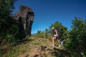 BIB: 
                            <button type="button" onclick="openModal(26578366)" class="btn btn-primary btn-sm float-right btn-popup" data-toggle="modal" data-target=".modal-high-quality">
                        <i class="fas fa-shopping-cart"></i> Add to Cart
                    </button>
                                            <button type="button" onclick="isThisMe(26578366, true)" class="btn btn-success btn-sm float-right btn-popup btn-isme hidden" data-toggle="tooltip" data-placement="bottom" title="นี่คือรูปของคุณใช่ไหม คลิกที่นี่เพื่อเอาเข้าอัลบั้ม">
                        <i class="fas fa-plus"></i> Add to album
                    </button>
                    <button type="button" onclick="isThisMe(26578366, false)" class="btn btn-warning btn-sm float-right btn-popup btn-isnotme hidden">
                        <i class="fas fa-ban"></i> Remove from album
                    </button>