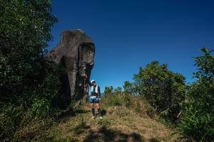 BIB: 
                            <button type="button" onclick="openModal(26576881)" class="btn btn-primary btn-sm float-right btn-popup" data-toggle="modal" data-target=".modal-high-quality">
                        <i class="fas fa-shopping-cart"></i> Add to Cart
                    </button>
                                            <button type="button" onclick="isThisMe(26576881, true)" class="btn btn-success btn-sm float-right btn-popup btn-isme hidden" data-toggle="tooltip" data-placement="bottom" title="นี่คือรูปของคุณใช่ไหม คลิกที่นี่เพื่อเอาเข้าอัลบั้ม">
                        <i class="fas fa-plus"></i> Add to album
                    </button>
                    <button type="button" onclick="isThisMe(26576881, false)" class="btn btn-warning btn-sm float-right btn-popup btn-isnotme hidden">
                        <i class="fas fa-ban"></i> Remove from album
                    </button>