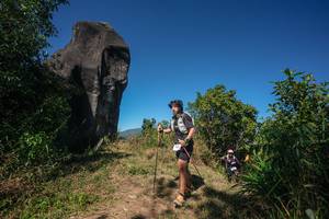 BIB: 
                            <button type="button" onclick="openModal(26578440)" class="btn btn-primary btn-sm float-right btn-popup" data-toggle="modal" data-target=".modal-high-quality">
                        <i class="fas fa-shopping-cart"></i> Add to Cart
                    </button>
                                            <button type="button" onclick="isThisMe(26578440, true)" class="btn btn-success btn-sm float-right btn-popup btn-isme hidden" data-toggle="tooltip" data-placement="bottom" title="นี่คือรูปของคุณใช่ไหม คลิกที่นี่เพื่อเอาเข้าอัลบั้ม">
                        <i class="fas fa-plus"></i> Add to album
                    </button>
                    <button type="button" onclick="isThisMe(26578440, false)" class="btn btn-warning btn-sm float-right btn-popup btn-isnotme hidden">
                        <i class="fas fa-ban"></i> Remove from album
                    </button>