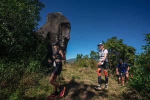 BIB: 
                            <button type="button" onclick="openModal(26576646)" class="btn btn-primary btn-sm float-right btn-popup" data-toggle="modal" data-target=".modal-high-quality">
                        <i class="fas fa-shopping-cart"></i> Add to Cart
                    </button>
                                            <button type="button" onclick="isThisMe(26576646, true)" class="btn btn-success btn-sm float-right btn-popup btn-isme hidden" data-toggle="tooltip" data-placement="bottom" title="นี่คือรูปของคุณใช่ไหม คลิกที่นี่เพื่อเอาเข้าอัลบั้ม">
                        <i class="fas fa-plus"></i> Add to album
                    </button>
                    <button type="button" onclick="isThisMe(26576646, false)" class="btn btn-warning btn-sm float-right btn-popup btn-isnotme hidden">
                        <i class="fas fa-ban"></i> Remove from album
                    </button>