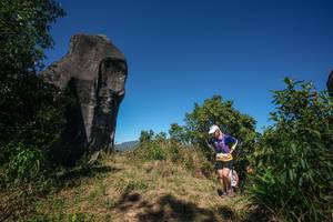 BIB: 
                            <button type="button" onclick="openModal(26577416)" class="btn btn-primary btn-sm float-right btn-popup" data-toggle="modal" data-target=".modal-high-quality">
                        <i class="fas fa-shopping-cart"></i> Add to Cart
                    </button>
                                            <button type="button" onclick="isThisMe(26577416, true)" class="btn btn-success btn-sm float-right btn-popup btn-isme hidden" data-toggle="tooltip" data-placement="bottom" title="นี่คือรูปของคุณใช่ไหม คลิกที่นี่เพื่อเอาเข้าอัลบั้ม">
                        <i class="fas fa-plus"></i> Add to album
                    </button>
                    <button type="button" onclick="isThisMe(26577416, false)" class="btn btn-warning btn-sm float-right btn-popup btn-isnotme hidden">
                        <i class="fas fa-ban"></i> Remove from album
                    </button>