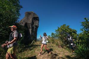 BIB: 
                            <button type="button" onclick="openModal(26578690)" class="btn btn-primary btn-sm float-right btn-popup" data-toggle="modal" data-target=".modal-high-quality">
                        <i class="fas fa-shopping-cart"></i> Add to Cart
                    </button>
                                            <button type="button" onclick="isThisMe(26578690, true)" class="btn btn-success btn-sm float-right btn-popup btn-isme hidden" data-toggle="tooltip" data-placement="bottom" title="นี่คือรูปของคุณใช่ไหม คลิกที่นี่เพื่อเอาเข้าอัลบั้ม">
                        <i class="fas fa-plus"></i> Add to album
                    </button>
                    <button type="button" onclick="isThisMe(26578690, false)" class="btn btn-warning btn-sm float-right btn-popup btn-isnotme hidden">
                        <i class="fas fa-ban"></i> Remove from album
                    </button>