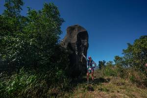 BIB: 
                            <button type="button" onclick="openModal(26582173)" class="btn btn-primary btn-sm float-right btn-popup" data-toggle="modal" data-target=".modal-high-quality">
                        <i class="fas fa-shopping-cart"></i> Add to Cart
                    </button>
                                            <button type="button" onclick="isThisMe(26582173, true)" class="btn btn-success btn-sm float-right btn-popup btn-isme hidden" data-toggle="tooltip" data-placement="bottom" title="นี่คือรูปของคุณใช่ไหม คลิกที่นี่เพื่อเอาเข้าอัลบั้ม">
                        <i class="fas fa-plus"></i> Add to album
                    </button>
                    <button type="button" onclick="isThisMe(26582173, false)" class="btn btn-warning btn-sm float-right btn-popup btn-isnotme hidden">
                        <i class="fas fa-ban"></i> Remove from album
                    </button>