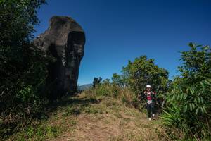 BIB: 
                            <button type="button" onclick="openModal(26582278)" class="btn btn-primary btn-sm float-right btn-popup" data-toggle="modal" data-target=".modal-high-quality">
                        <i class="fas fa-shopping-cart"></i> Add to Cart
                    </button>
                                            <button type="button" onclick="isThisMe(26582278, true)" class="btn btn-success btn-sm float-right btn-popup btn-isme hidden" data-toggle="tooltip" data-placement="bottom" title="นี่คือรูปของคุณใช่ไหม คลิกที่นี่เพื่อเอาเข้าอัลบั้ม">
                        <i class="fas fa-plus"></i> Add to album
                    </button>
                    <button type="button" onclick="isThisMe(26582278, false)" class="btn btn-warning btn-sm float-right btn-popup btn-isnotme hidden">
                        <i class="fas fa-ban"></i> Remove from album
                    </button>