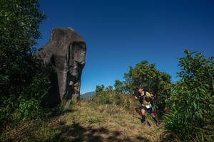 BIB: 
                            <button type="button" onclick="openModal(26575918)" class="btn btn-primary btn-sm float-right btn-popup" data-toggle="modal" data-target=".modal-high-quality">
                        <i class="fas fa-shopping-cart"></i> Add to Cart
                    </button>
                                            <button type="button" onclick="isThisMe(26575918, true)" class="btn btn-success btn-sm float-right btn-popup btn-isme hidden" data-toggle="tooltip" data-placement="bottom" title="นี่คือรูปของคุณใช่ไหม คลิกที่นี่เพื่อเอาเข้าอัลบั้ม">
                        <i class="fas fa-plus"></i> Add to album
                    </button>
                    <button type="button" onclick="isThisMe(26575918, false)" class="btn btn-warning btn-sm float-right btn-popup btn-isnotme hidden">
                        <i class="fas fa-ban"></i> Remove from album
                    </button>