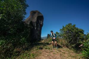 BIB: 
                            <button type="button" onclick="openModal(26582272)" class="btn btn-primary btn-sm float-right btn-popup" data-toggle="modal" data-target=".modal-high-quality">
                        <i class="fas fa-shopping-cart"></i> Add to Cart
                    </button>
                                            <button type="button" onclick="isThisMe(26582272, true)" class="btn btn-success btn-sm float-right btn-popup btn-isme hidden" data-toggle="tooltip" data-placement="bottom" title="นี่คือรูปของคุณใช่ไหม คลิกที่นี่เพื่อเอาเข้าอัลบั้ม">
                        <i class="fas fa-plus"></i> Add to album
                    </button>
                    <button type="button" onclick="isThisMe(26582272, false)" class="btn btn-warning btn-sm float-right btn-popup btn-isnotme hidden">
                        <i class="fas fa-ban"></i> Remove from album
                    </button>