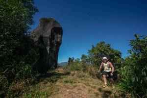 BIB: 
                            <button type="button" onclick="openModal(26579805)" class="btn btn-primary btn-sm float-right btn-popup" data-toggle="modal" data-target=".modal-high-quality">
                        <i class="fas fa-shopping-cart"></i> Add to Cart
                    </button>
                                            <button type="button" onclick="isThisMe(26579805, true)" class="btn btn-success btn-sm float-right btn-popup btn-isme hidden" data-toggle="tooltip" data-placement="bottom" title="นี่คือรูปของคุณใช่ไหม คลิกที่นี่เพื่อเอาเข้าอัลบั้ม">
                        <i class="fas fa-plus"></i> Add to album
                    </button>
                    <button type="button" onclick="isThisMe(26579805, false)" class="btn btn-warning btn-sm float-right btn-popup btn-isnotme hidden">
                        <i class="fas fa-ban"></i> Remove from album
                    </button>