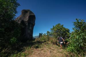 BIB: 
                            <button type="button" onclick="openModal(26584238)" class="btn btn-primary btn-sm float-right btn-popup" data-toggle="modal" data-target=".modal-high-quality">
                        <i class="fas fa-shopping-cart"></i> Add to Cart
                    </button>
                                            <button type="button" onclick="isThisMe(26584238, true)" class="btn btn-success btn-sm float-right btn-popup btn-isme hidden" data-toggle="tooltip" data-placement="bottom" title="นี่คือรูปของคุณใช่ไหม คลิกที่นี่เพื่อเอาเข้าอัลบั้ม">
                        <i class="fas fa-plus"></i> Add to album
                    </button>
                    <button type="button" onclick="isThisMe(26584238, false)" class="btn btn-warning btn-sm float-right btn-popup btn-isnotme hidden">
                        <i class="fas fa-ban"></i> Remove from album
                    </button>