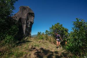 BIB: 
                            <button type="button" onclick="openModal(26577276)" class="btn btn-primary btn-sm float-right btn-popup" data-toggle="modal" data-target=".modal-high-quality">
                        <i class="fas fa-shopping-cart"></i> Add to Cart
                    </button>
                                            <button type="button" onclick="isThisMe(26577276, true)" class="btn btn-success btn-sm float-right btn-popup btn-isme hidden" data-toggle="tooltip" data-placement="bottom" title="นี่คือรูปของคุณใช่ไหม คลิกที่นี่เพื่อเอาเข้าอัลบั้ม">
                        <i class="fas fa-plus"></i> Add to album
                    </button>
                    <button type="button" onclick="isThisMe(26577276, false)" class="btn btn-warning btn-sm float-right btn-popup btn-isnotme hidden">
                        <i class="fas fa-ban"></i> Remove from album
                    </button>