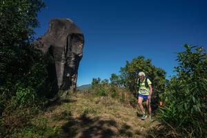 BIB: 
                            <button type="button" onclick="openModal(26576593)" class="btn btn-primary btn-sm float-right btn-popup" data-toggle="modal" data-target=".modal-high-quality">
                        <i class="fas fa-shopping-cart"></i> Add to Cart
                    </button>
                                            <button type="button" onclick="isThisMe(26576593, true)" class="btn btn-success btn-sm float-right btn-popup btn-isme hidden" data-toggle="tooltip" data-placement="bottom" title="นี่คือรูปของคุณใช่ไหม คลิกที่นี่เพื่อเอาเข้าอัลบั้ม">
                        <i class="fas fa-plus"></i> Add to album
                    </button>
                    <button type="button" onclick="isThisMe(26576593, false)" class="btn btn-warning btn-sm float-right btn-popup btn-isnotme hidden">
                        <i class="fas fa-ban"></i> Remove from album
                    </button>