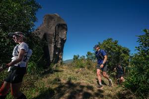 BIB: 
                            <button type="button" onclick="openModal(26576652)" class="btn btn-primary btn-sm float-right btn-popup" data-toggle="modal" data-target=".modal-high-quality">
                        <i class="fas fa-shopping-cart"></i> Add to Cart
                    </button>
                                            <button type="button" onclick="isThisMe(26576652, true)" class="btn btn-success btn-sm float-right btn-popup btn-isme hidden" data-toggle="tooltip" data-placement="bottom" title="นี่คือรูปของคุณใช่ไหม คลิกที่นี่เพื่อเอาเข้าอัลบั้ม">
                        <i class="fas fa-plus"></i> Add to album
                    </button>
                    <button type="button" onclick="isThisMe(26576652, false)" class="btn btn-warning btn-sm float-right btn-popup btn-isnotme hidden">
                        <i class="fas fa-ban"></i> Remove from album
                    </button>