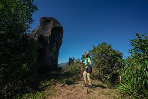 BIB: 
                            <button type="button" onclick="openModal(26585479)" class="btn btn-primary btn-sm float-right btn-popup" data-toggle="modal" data-target=".modal-high-quality">
                        <i class="fas fa-shopping-cart"></i> Add to Cart
                    </button>
                                            <button type="button" onclick="isThisMe(26585479, true)" class="btn btn-success btn-sm float-right btn-popup btn-isme hidden" data-toggle="tooltip" data-placement="bottom" title="นี่คือรูปของคุณใช่ไหม คลิกที่นี่เพื่อเอาเข้าอัลบั้ม">
                        <i class="fas fa-plus"></i> Add to album
                    </button>
                    <button type="button" onclick="isThisMe(26585479, false)" class="btn btn-warning btn-sm float-right btn-popup btn-isnotme hidden">
                        <i class="fas fa-ban"></i> Remove from album
                    </button>