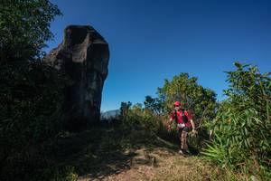 BIB: 
                            <button type="button" onclick="openModal(26590648)" class="btn btn-primary btn-sm float-right btn-popup" data-toggle="modal" data-target=".modal-high-quality">
                        <i class="fas fa-shopping-cart"></i> Add to Cart
                    </button>
                                            <button type="button" onclick="isThisMe(26590648, true)" class="btn btn-success btn-sm float-right btn-popup btn-isme hidden" data-toggle="tooltip" data-placement="bottom" title="นี่คือรูปของคุณใช่ไหม คลิกที่นี่เพื่อเอาเข้าอัลบั้ม">
                        <i class="fas fa-plus"></i> Add to album
                    </button>
                    <button type="button" onclick="isThisMe(26590648, false)" class="btn btn-warning btn-sm float-right btn-popup btn-isnotme hidden">
                        <i class="fas fa-ban"></i> Remove from album
                    </button>