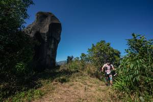 BIB: 
                            <button type="button" onclick="openModal(26584493)" class="btn btn-primary btn-sm float-right btn-popup" data-toggle="modal" data-target=".modal-high-quality">
                        <i class="fas fa-shopping-cart"></i> Add to Cart
                    </button>
                                            <button type="button" onclick="isThisMe(26584493, true)" class="btn btn-success btn-sm float-right btn-popup btn-isme hidden" data-toggle="tooltip" data-placement="bottom" title="นี่คือรูปของคุณใช่ไหม คลิกที่นี่เพื่อเอาเข้าอัลบั้ม">
                        <i class="fas fa-plus"></i> Add to album
                    </button>
                    <button type="button" onclick="isThisMe(26584493, false)" class="btn btn-warning btn-sm float-right btn-popup btn-isnotme hidden">
                        <i class="fas fa-ban"></i> Remove from album
                    </button>