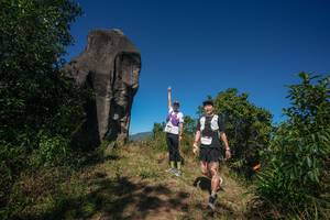 BIB: 
                            <button type="button" onclick="openModal(26576043)" class="btn btn-primary btn-sm float-right btn-popup" data-toggle="modal" data-target=".modal-high-quality">
                        <i class="fas fa-shopping-cart"></i> Add to Cart
                    </button>
                                            <button type="button" onclick="isThisMe(26576043, true)" class="btn btn-success btn-sm float-right btn-popup btn-isme hidden" data-toggle="tooltip" data-placement="bottom" title="นี่คือรูปของคุณใช่ไหม คลิกที่นี่เพื่อเอาเข้าอัลบั้ม">
                        <i class="fas fa-plus"></i> Add to album
                    </button>
                    <button type="button" onclick="isThisMe(26576043, false)" class="btn btn-warning btn-sm float-right btn-popup btn-isnotme hidden">
                        <i class="fas fa-ban"></i> Remove from album
                    </button>