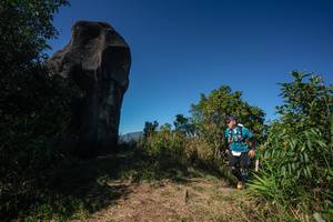 BIB: 
                            <button type="button" onclick="openModal(26587685)" class="btn btn-primary btn-sm float-right btn-popup" data-toggle="modal" data-target=".modal-high-quality">
                        <i class="fas fa-shopping-cart"></i> Add to Cart
                    </button>
                                            <button type="button" onclick="isThisMe(26587685, true)" class="btn btn-success btn-sm float-right btn-popup btn-isme hidden" data-toggle="tooltip" data-placement="bottom" title="นี่คือรูปของคุณใช่ไหม คลิกที่นี่เพื่อเอาเข้าอัลบั้ม">
                        <i class="fas fa-plus"></i> Add to album
                    </button>
                    <button type="button" onclick="isThisMe(26587685, false)" class="btn btn-warning btn-sm float-right btn-popup btn-isnotme hidden">
                        <i class="fas fa-ban"></i> Remove from album
                    </button>