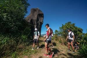 BIB: 
                            <button type="button" onclick="openModal(26578660)" class="btn btn-primary btn-sm float-right btn-popup" data-toggle="modal" data-target=".modal-high-quality">
                        <i class="fas fa-shopping-cart"></i> Add to Cart
                    </button>
                                            <button type="button" onclick="isThisMe(26578660, true)" class="btn btn-success btn-sm float-right btn-popup btn-isme hidden" data-toggle="tooltip" data-placement="bottom" title="นี่คือรูปของคุณใช่ไหม คลิกที่นี่เพื่อเอาเข้าอัลบั้ม">
                        <i class="fas fa-plus"></i> Add to album
                    </button>
                    <button type="button" onclick="isThisMe(26578660, false)" class="btn btn-warning btn-sm float-right btn-popup btn-isnotme hidden">
                        <i class="fas fa-ban"></i> Remove from album
                    </button>