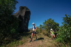 BIB: 
                            <button type="button" onclick="openModal(26584104)" class="btn btn-primary btn-sm float-right btn-popup" data-toggle="modal" data-target=".modal-high-quality">
                        <i class="fas fa-shopping-cart"></i> Add to Cart
                    </button>
                                            <button type="button" onclick="isThisMe(26584104, true)" class="btn btn-success btn-sm float-right btn-popup btn-isme hidden" data-toggle="tooltip" data-placement="bottom" title="นี่คือรูปของคุณใช่ไหม คลิกที่นี่เพื่อเอาเข้าอัลบั้ม">
                        <i class="fas fa-plus"></i> Add to album
                    </button>
                    <button type="button" onclick="isThisMe(26584104, false)" class="btn btn-warning btn-sm float-right btn-popup btn-isnotme hidden">
                        <i class="fas fa-ban"></i> Remove from album
                    </button>