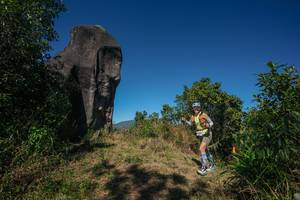 BIB: 
                            <button type="button" onclick="openModal(26576891)" class="btn btn-primary btn-sm float-right btn-popup" data-toggle="modal" data-target=".modal-high-quality">
                        <i class="fas fa-shopping-cart"></i> Add to Cart
                    </button>
                                            <button type="button" onclick="isThisMe(26576891, true)" class="btn btn-success btn-sm float-right btn-popup btn-isme hidden" data-toggle="tooltip" data-placement="bottom" title="นี่คือรูปของคุณใช่ไหม คลิกที่นี่เพื่อเอาเข้าอัลบั้ม">
                        <i class="fas fa-plus"></i> Add to album
                    </button>
                    <button type="button" onclick="isThisMe(26576891, false)" class="btn btn-warning btn-sm float-right btn-popup btn-isnotme hidden">
                        <i class="fas fa-ban"></i> Remove from album
                    </button>