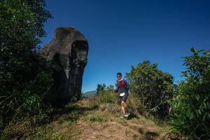 BIB: 
                            <button type="button" onclick="openModal(26579501)" class="btn btn-primary btn-sm float-right btn-popup" data-toggle="modal" data-target=".modal-high-quality">
                        <i class="fas fa-shopping-cart"></i> Add to Cart
                    </button>
                                            <button type="button" onclick="isThisMe(26579501, true)" class="btn btn-success btn-sm float-right btn-popup btn-isme hidden" data-toggle="tooltip" data-placement="bottom" title="นี่คือรูปของคุณใช่ไหม คลิกที่นี่เพื่อเอาเข้าอัลบั้ม">
                        <i class="fas fa-plus"></i> Add to album
                    </button>
                    <button type="button" onclick="isThisMe(26579501, false)" class="btn btn-warning btn-sm float-right btn-popup btn-isnotme hidden">
                        <i class="fas fa-ban"></i> Remove from album
                    </button>