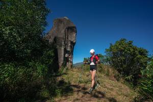 BIB: 
                            <button type="button" onclick="openModal(26574971)" class="btn btn-primary btn-sm float-right btn-popup" data-toggle="modal" data-target=".modal-high-quality">
                        <i class="fas fa-shopping-cart"></i> Add to Cart
                    </button>
                                            <button type="button" onclick="isThisMe(26574971, true)" class="btn btn-success btn-sm float-right btn-popup btn-isme hidden" data-toggle="tooltip" data-placement="bottom" title="นี่คือรูปของคุณใช่ไหม คลิกที่นี่เพื่อเอาเข้าอัลบั้ม">
                        <i class="fas fa-plus"></i> Add to album
                    </button>
                    <button type="button" onclick="isThisMe(26574971, false)" class="btn btn-warning btn-sm float-right btn-popup btn-isnotme hidden">
                        <i class="fas fa-ban"></i> Remove from album
                    </button>