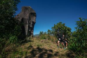 BIB: 
                            <button type="button" onclick="openModal(26576753)" class="btn btn-primary btn-sm float-right btn-popup" data-toggle="modal" data-target=".modal-high-quality">
                        <i class="fas fa-shopping-cart"></i> Add to Cart
                    </button>
                                            <button type="button" onclick="isThisMe(26576753, true)" class="btn btn-success btn-sm float-right btn-popup btn-isme hidden" data-toggle="tooltip" data-placement="bottom" title="นี่คือรูปของคุณใช่ไหม คลิกที่นี่เพื่อเอาเข้าอัลบั้ม">
                        <i class="fas fa-plus"></i> Add to album
                    </button>
                    <button type="button" onclick="isThisMe(26576753, false)" class="btn btn-warning btn-sm float-right btn-popup btn-isnotme hidden">
                        <i class="fas fa-ban"></i> Remove from album
                    </button>