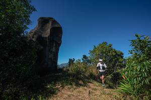 BIB: 
                            <button type="button" onclick="openModal(26587084)" class="btn btn-primary btn-sm float-right btn-popup" data-toggle="modal" data-target=".modal-high-quality">
                        <i class="fas fa-shopping-cart"></i> Add to Cart
                    </button>
                                            <button type="button" onclick="isThisMe(26587084, true)" class="btn btn-success btn-sm float-right btn-popup btn-isme hidden" data-toggle="tooltip" data-placement="bottom" title="นี่คือรูปของคุณใช่ไหม คลิกที่นี่เพื่อเอาเข้าอัลบั้ม">
                        <i class="fas fa-plus"></i> Add to album
                    </button>
                    <button type="button" onclick="isThisMe(26587084, false)" class="btn btn-warning btn-sm float-right btn-popup btn-isnotme hidden">
                        <i class="fas fa-ban"></i> Remove from album
                    </button>