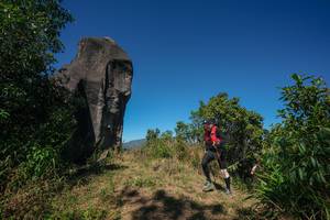 BIB: 
                            <button type="button" onclick="openModal(26577189)" class="btn btn-primary btn-sm float-right btn-popup" data-toggle="modal" data-target=".modal-high-quality">
                        <i class="fas fa-shopping-cart"></i> Add to Cart
                    </button>
                                            <button type="button" onclick="isThisMe(26577189, true)" class="btn btn-success btn-sm float-right btn-popup btn-isme hidden" data-toggle="tooltip" data-placement="bottom" title="นี่คือรูปของคุณใช่ไหม คลิกที่นี่เพื่อเอาเข้าอัลบั้ม">
                        <i class="fas fa-plus"></i> Add to album
                    </button>
                    <button type="button" onclick="isThisMe(26577189, false)" class="btn btn-warning btn-sm float-right btn-popup btn-isnotme hidden">
                        <i class="fas fa-ban"></i> Remove from album
                    </button>