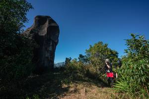 BIB: 
                            <button type="button" onclick="openModal(26589267)" class="btn btn-primary btn-sm float-right btn-popup" data-toggle="modal" data-target=".modal-high-quality">
                        <i class="fas fa-shopping-cart"></i> Add to Cart
                    </button>
                                            <button type="button" onclick="isThisMe(26589267, true)" class="btn btn-success btn-sm float-right btn-popup btn-isme hidden" data-toggle="tooltip" data-placement="bottom" title="นี่คือรูปของคุณใช่ไหม คลิกที่นี่เพื่อเอาเข้าอัลบั้ม">
                        <i class="fas fa-plus"></i> Add to album
                    </button>
                    <button type="button" onclick="isThisMe(26589267, false)" class="btn btn-warning btn-sm float-right btn-popup btn-isnotme hidden">
                        <i class="fas fa-ban"></i> Remove from album
                    </button>