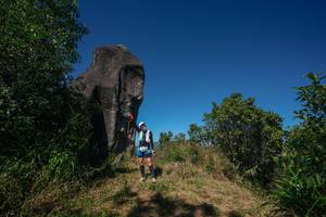 BIB: 
                            <button type="button" onclick="openModal(26576880)" class="btn btn-primary btn-sm float-right btn-popup" data-toggle="modal" data-target=".modal-high-quality">
                        <i class="fas fa-shopping-cart"></i> Add to Cart
                    </button>
                                            <button type="button" onclick="isThisMe(26576880, true)" class="btn btn-success btn-sm float-right btn-popup btn-isme hidden" data-toggle="tooltip" data-placement="bottom" title="นี่คือรูปของคุณใช่ไหม คลิกที่นี่เพื่อเอาเข้าอัลบั้ม">
                        <i class="fas fa-plus"></i> Add to album
                    </button>
                    <button type="button" onclick="isThisMe(26576880, false)" class="btn btn-warning btn-sm float-right btn-popup btn-isnotme hidden">
                        <i class="fas fa-ban"></i> Remove from album
                    </button>