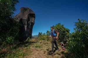 BIB: 
                            <button type="button" onclick="openModal(26578843)" class="btn btn-primary btn-sm float-right btn-popup" data-toggle="modal" data-target=".modal-high-quality">
                        <i class="fas fa-shopping-cart"></i> Add to Cart
                    </button>
                                            <button type="button" onclick="isThisMe(26578843, true)" class="btn btn-success btn-sm float-right btn-popup btn-isme hidden" data-toggle="tooltip" data-placement="bottom" title="นี่คือรูปของคุณใช่ไหม คลิกที่นี่เพื่อเอาเข้าอัลบั้ม">
                        <i class="fas fa-plus"></i> Add to album
                    </button>
                    <button type="button" onclick="isThisMe(26578843, false)" class="btn btn-warning btn-sm float-right btn-popup btn-isnotme hidden">
                        <i class="fas fa-ban"></i> Remove from album
                    </button>