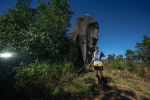 BIB: 
                            <button type="button" onclick="openModal(26576511)" class="btn btn-primary btn-sm float-right btn-popup" data-toggle="modal" data-target=".modal-high-quality">
                        <i class="fas fa-shopping-cart"></i> Add to Cart
                    </button>
                                            <button type="button" onclick="isThisMe(26576511, true)" class="btn btn-success btn-sm float-right btn-popup btn-isme hidden" data-toggle="tooltip" data-placement="bottom" title="นี่คือรูปของคุณใช่ไหม คลิกที่นี่เพื่อเอาเข้าอัลบั้ม">
                        <i class="fas fa-plus"></i> Add to album
                    </button>
                    <button type="button" onclick="isThisMe(26576511, false)" class="btn btn-warning btn-sm float-right btn-popup btn-isnotme hidden">
                        <i class="fas fa-ban"></i> Remove from album
                    </button>