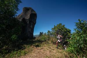 BIB: 
                            <button type="button" onclick="openModal(26584415)" class="btn btn-primary btn-sm float-right btn-popup" data-toggle="modal" data-target=".modal-high-quality">
                        <i class="fas fa-shopping-cart"></i> Add to Cart
                    </button>
                                            <button type="button" onclick="isThisMe(26584415, true)" class="btn btn-success btn-sm float-right btn-popup btn-isme hidden" data-toggle="tooltip" data-placement="bottom" title="นี่คือรูปของคุณใช่ไหม คลิกที่นี่เพื่อเอาเข้าอัลบั้ม">
                        <i class="fas fa-plus"></i> Add to album
                    </button>
                    <button type="button" onclick="isThisMe(26584415, false)" class="btn btn-warning btn-sm float-right btn-popup btn-isnotme hidden">
                        <i class="fas fa-ban"></i> Remove from album
                    </button>