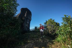 BIB: 
                            <button type="button" onclick="openModal(26592383)" class="btn btn-primary btn-sm float-right btn-popup" data-toggle="modal" data-target=".modal-high-quality">
                        <i class="fas fa-shopping-cart"></i> Add to Cart
                    </button>
                                            <button type="button" onclick="isThisMe(26592383, true)" class="btn btn-success btn-sm float-right btn-popup btn-isme hidden" data-toggle="tooltip" data-placement="bottom" title="นี่คือรูปของคุณใช่ไหม คลิกที่นี่เพื่อเอาเข้าอัลบั้ม">
                        <i class="fas fa-plus"></i> Add to album
                    </button>
                    <button type="button" onclick="isThisMe(26592383, false)" class="btn btn-warning btn-sm float-right btn-popup btn-isnotme hidden">
                        <i class="fas fa-ban"></i> Remove from album
                    </button>