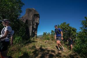 BIB: 
                            <button type="button" onclick="openModal(26576660)" class="btn btn-primary btn-sm float-right btn-popup" data-toggle="modal" data-target=".modal-high-quality">
                        <i class="fas fa-shopping-cart"></i> Add to Cart
                    </button>
                                            <button type="button" onclick="isThisMe(26576660, true)" class="btn btn-success btn-sm float-right btn-popup btn-isme hidden" data-toggle="tooltip" data-placement="bottom" title="นี่คือรูปของคุณใช่ไหม คลิกที่นี่เพื่อเอาเข้าอัลบั้ม">
                        <i class="fas fa-plus"></i> Add to album
                    </button>
                    <button type="button" onclick="isThisMe(26576660, false)" class="btn btn-warning btn-sm float-right btn-popup btn-isnotme hidden">
                        <i class="fas fa-ban"></i> Remove from album
                    </button>