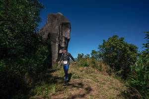 BIB: 
                            <button type="button" onclick="openModal(26574307)" class="btn btn-primary btn-sm float-right btn-popup" data-toggle="modal" data-target=".modal-high-quality">
                        <i class="fas fa-shopping-cart"></i> Add to Cart
                    </button>
                                            <button type="button" onclick="isThisMe(26574307, true)" class="btn btn-success btn-sm float-right btn-popup btn-isme hidden" data-toggle="tooltip" data-placement="bottom" title="นี่คือรูปของคุณใช่ไหม คลิกที่นี่เพื่อเอาเข้าอัลบั้ม">
                        <i class="fas fa-plus"></i> Add to album
                    </button>
                    <button type="button" onclick="isThisMe(26574307, false)" class="btn btn-warning btn-sm float-right btn-popup btn-isnotme hidden">
                        <i class="fas fa-ban"></i> Remove from album
                    </button>