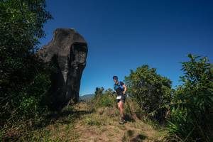 BIB: 
                            <button type="button" onclick="openModal(26579227)" class="btn btn-primary btn-sm float-right btn-popup" data-toggle="modal" data-target=".modal-high-quality">
                        <i class="fas fa-shopping-cart"></i> Add to Cart
                    </button>
                                            <button type="button" onclick="isThisMe(26579227, true)" class="btn btn-success btn-sm float-right btn-popup btn-isme hidden" data-toggle="tooltip" data-placement="bottom" title="นี่คือรูปของคุณใช่ไหม คลิกที่นี่เพื่อเอาเข้าอัลบั้ม">
                        <i class="fas fa-plus"></i> Add to album
                    </button>
                    <button type="button" onclick="isThisMe(26579227, false)" class="btn btn-warning btn-sm float-right btn-popup btn-isnotme hidden">
                        <i class="fas fa-ban"></i> Remove from album
                    </button>