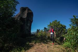 BIB: 
                            <button type="button" onclick="openModal(26587651)" class="btn btn-primary btn-sm float-right btn-popup" data-toggle="modal" data-target=".modal-high-quality">
                        <i class="fas fa-shopping-cart"></i> Add to Cart
                    </button>
                                            <button type="button" onclick="isThisMe(26587651, true)" class="btn btn-success btn-sm float-right btn-popup btn-isme hidden" data-toggle="tooltip" data-placement="bottom" title="นี่คือรูปของคุณใช่ไหม คลิกที่นี่เพื่อเอาเข้าอัลบั้ม">
                        <i class="fas fa-plus"></i> Add to album
                    </button>
                    <button type="button" onclick="isThisMe(26587651, false)" class="btn btn-warning btn-sm float-right btn-popup btn-isnotme hidden">
                        <i class="fas fa-ban"></i> Remove from album
                    </button>