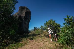 BIB: 
                            <button type="button" onclick="openModal(26584075)" class="btn btn-primary btn-sm float-right btn-popup" data-toggle="modal" data-target=".modal-high-quality">
                        <i class="fas fa-shopping-cart"></i> Add to Cart
                    </button>
                                            <button type="button" onclick="isThisMe(26584075, true)" class="btn btn-success btn-sm float-right btn-popup btn-isme hidden" data-toggle="tooltip" data-placement="bottom" title="นี่คือรูปของคุณใช่ไหม คลิกที่นี่เพื่อเอาเข้าอัลบั้ม">
                        <i class="fas fa-plus"></i> Add to album
                    </button>
                    <button type="button" onclick="isThisMe(26584075, false)" class="btn btn-warning btn-sm float-right btn-popup btn-isnotme hidden">
                        <i class="fas fa-ban"></i> Remove from album
                    </button>